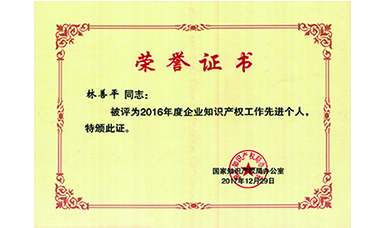 林善平榮獲國家“企業(yè)知識產(chǎn)權工作先進(jìn)個(gè)人”